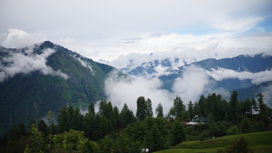 Kumrat Valley Tour deodar forest Dir Pakistan