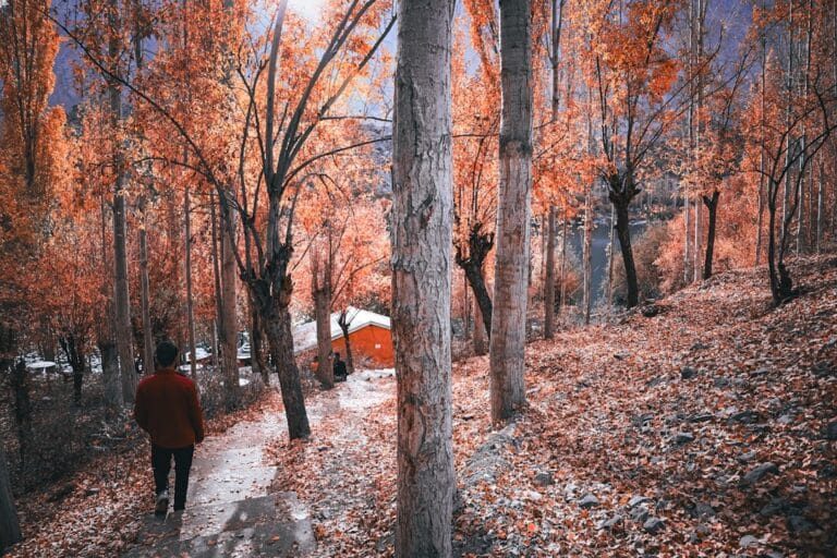 Skardu Autumn Tour