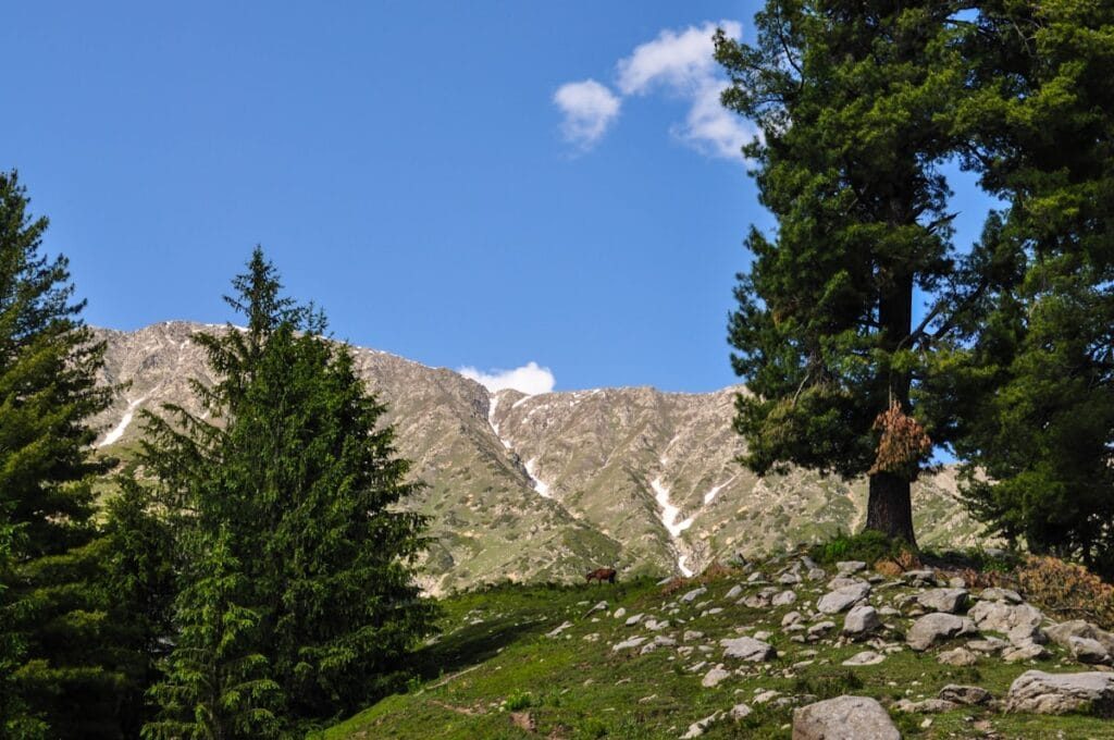 Familien auf einem Talweg unterhalb der Karakorum-Gipfel