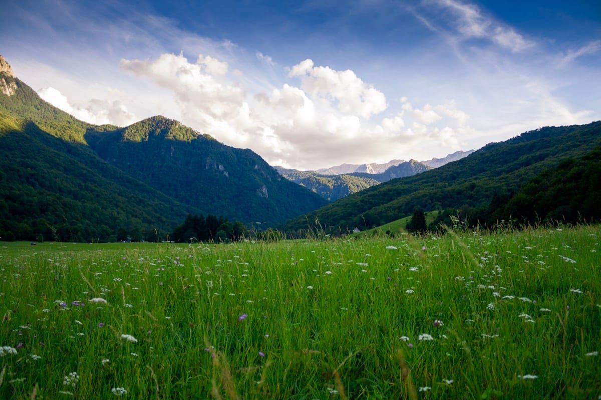 Fairy Meadows green alpine meadow below dramatic mountain peaks, Pakistan
