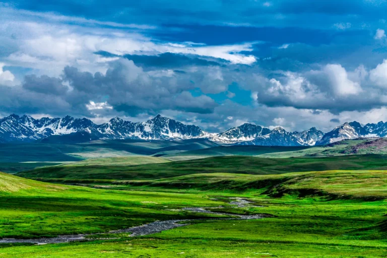 Deosai Jeep Safari — Skardu to Astore Traverse