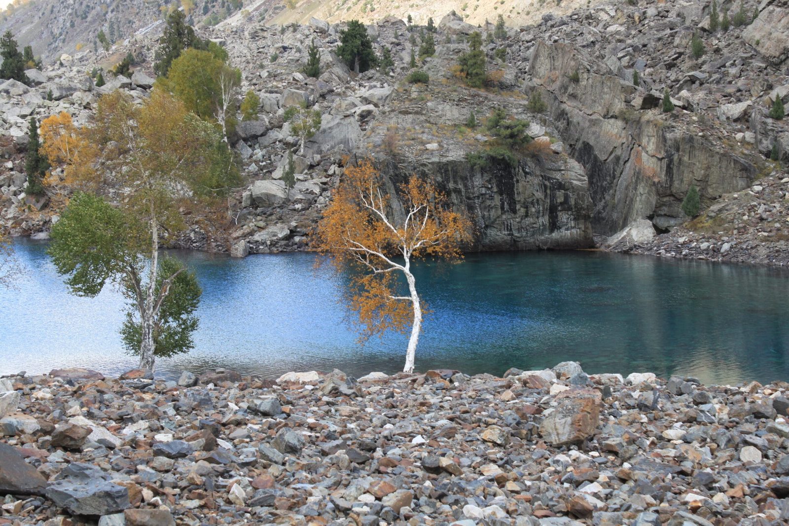Blue Lake nella Valle di Naltar, circondato da pineta, Gilgit-Baltistan