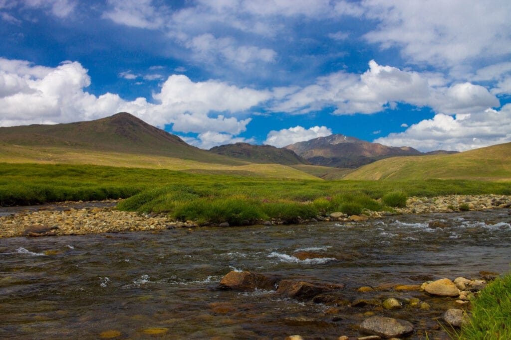 Deosai, the plateau above Skardu, in the green weeks that Skardu weather allows from June to September. Photo: Wikimedia Commons, CC licence, see caption.
