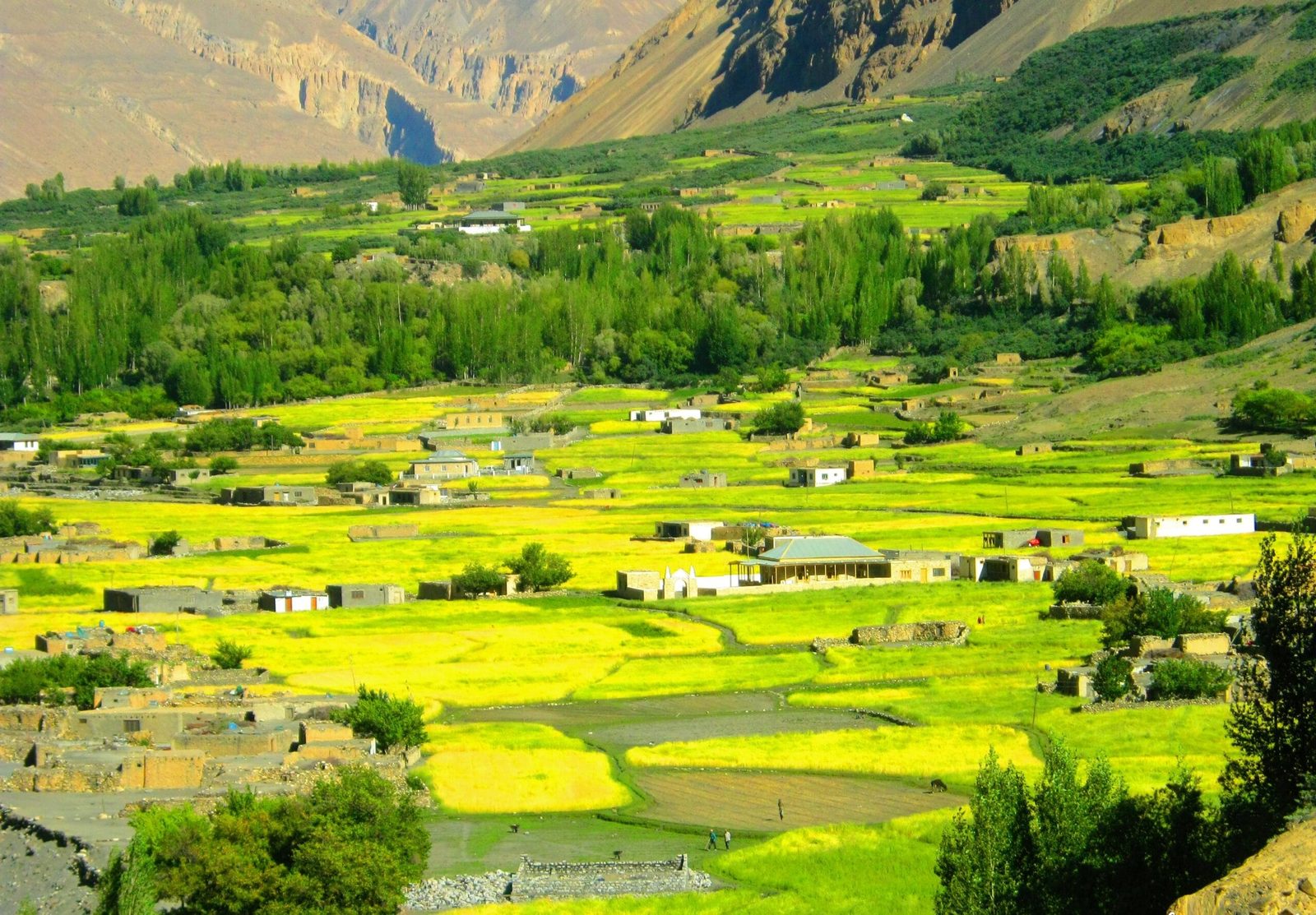 Green fields and stone houses of Shimshal village in July, upper Hunza, Gilgit-Baltistan, the ice the Khurdopin Pass trek crosses